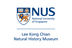 NUS Lee Kong Chian