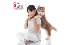 Pet Lovers Centre