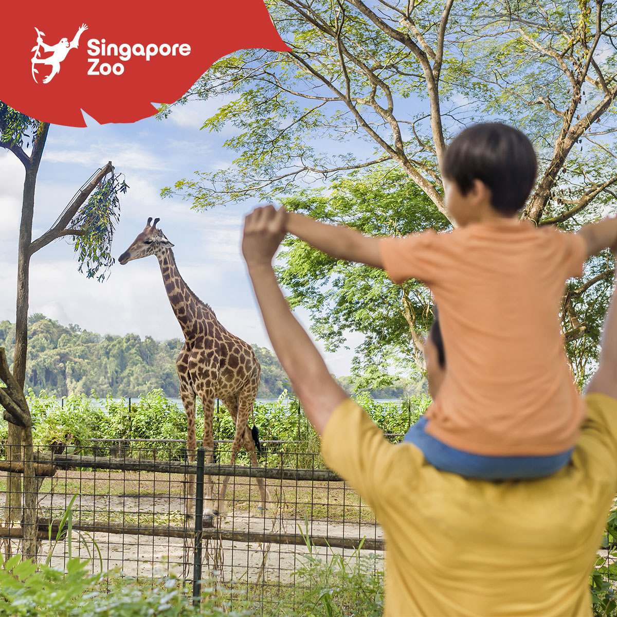 Mandai Wildlife Reserve